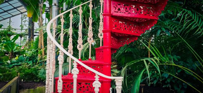a wrought-iron spiral staircase painted red and white, in a lush tropical greenhouse